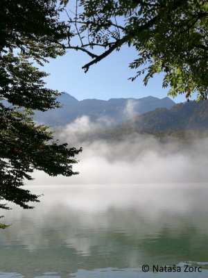 Bohinjsko jezero