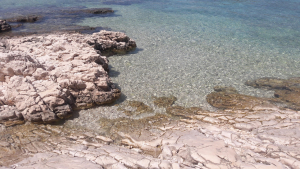 Obala